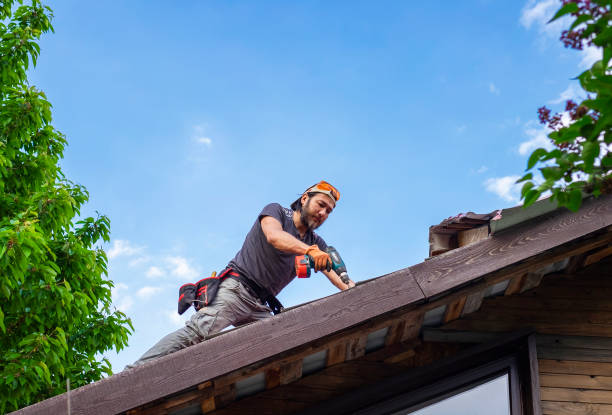 Best Green or Eco-Friendly Roofing Solutions  in Brush Prairie, WA