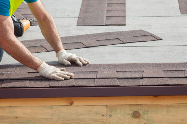 Best Asphalt Shingle Roofing  in Brush Prairie, WA